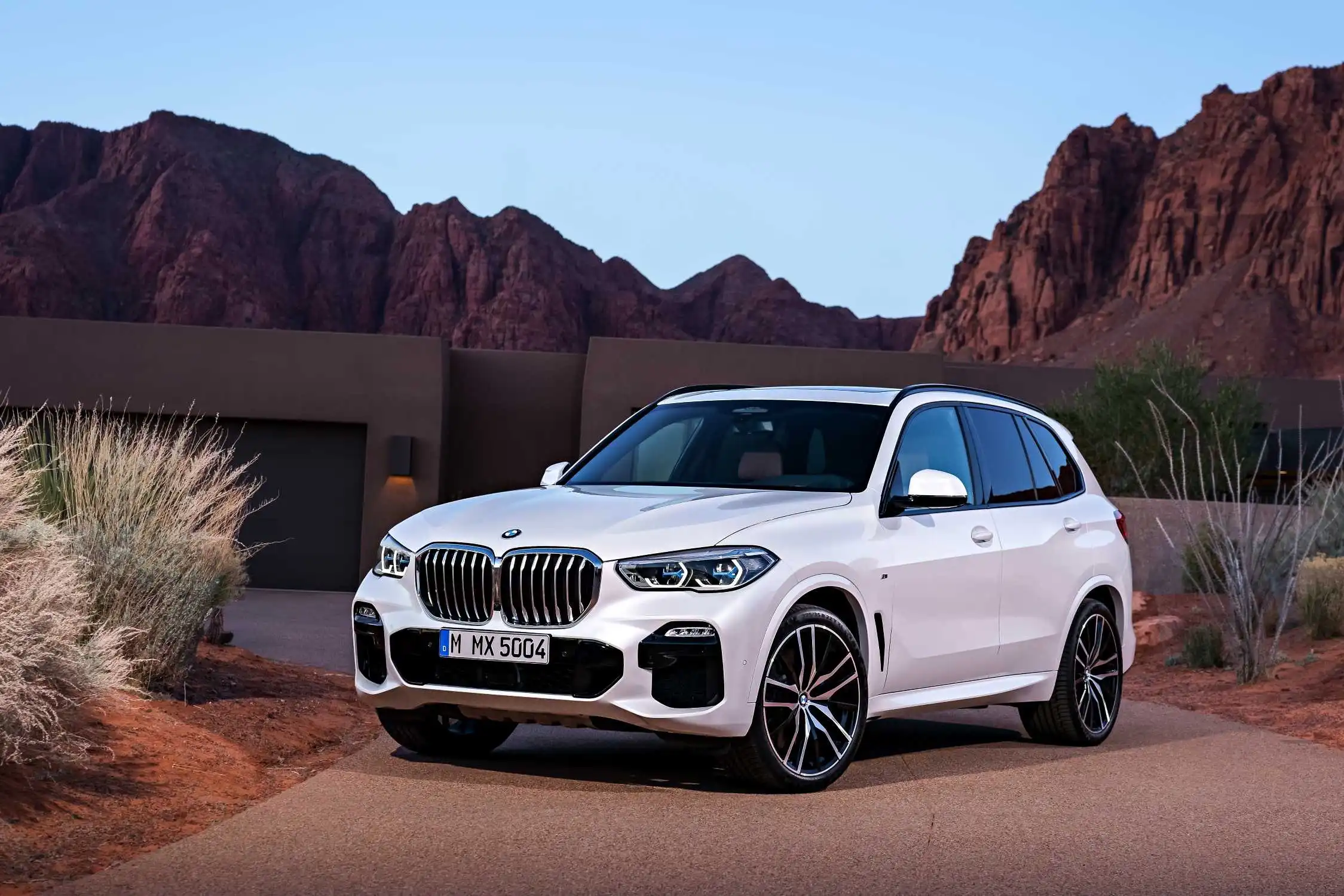 BMW&nbsp;X5 xDrive40d и BMW&nbsp;X6 xDrive40d выйдут на российский рынок в мае 2020 года